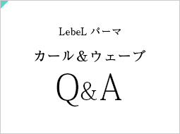 ץ饤  ɡ륭 ӡ QA