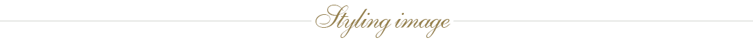 Style image